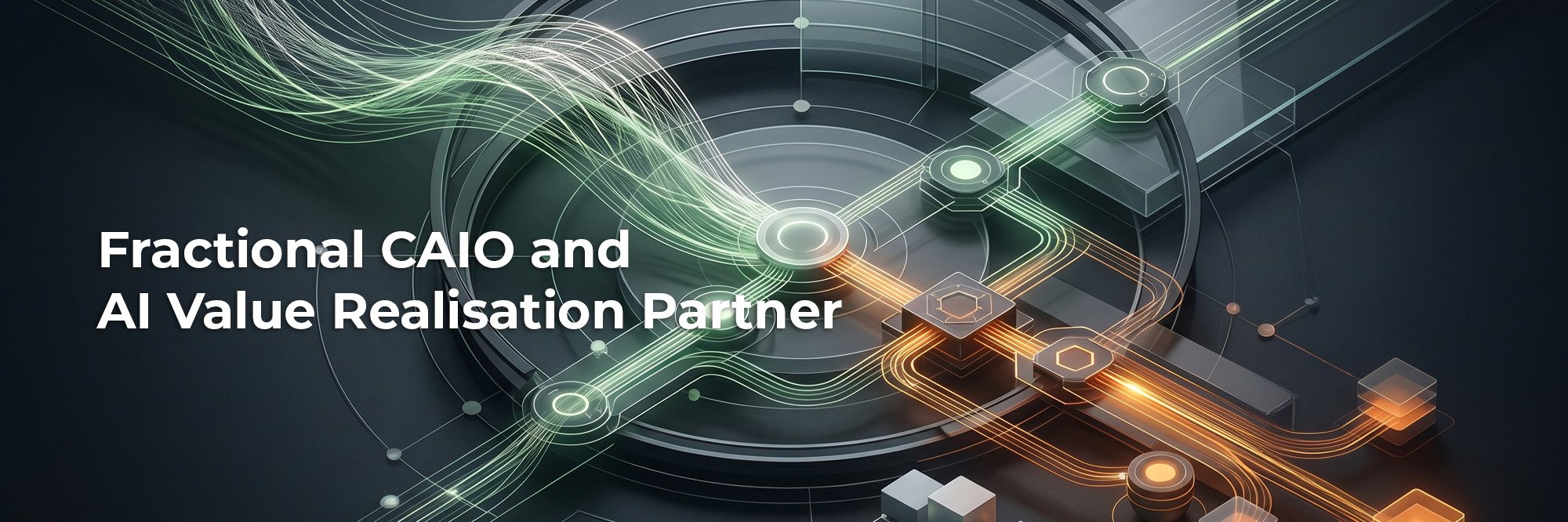 Fractional CAIO & AI Value Realisation Partner