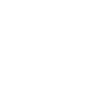 Linkedin icon white